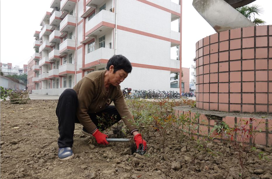 沭阳荣盛鑫城最新动态,沭阳荣盛鑫城最新动态，揭开城市新面貌的序幕