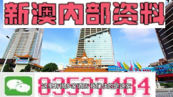 2024新奥资料免费精准051,揭秘新奥资料免费精准获取之道，一场关于未来的探索之旅（关键词，新奥资料免费精准051）