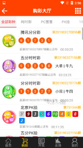 王中王493333中特1肖,王中王493333中特1肖，探索与解读