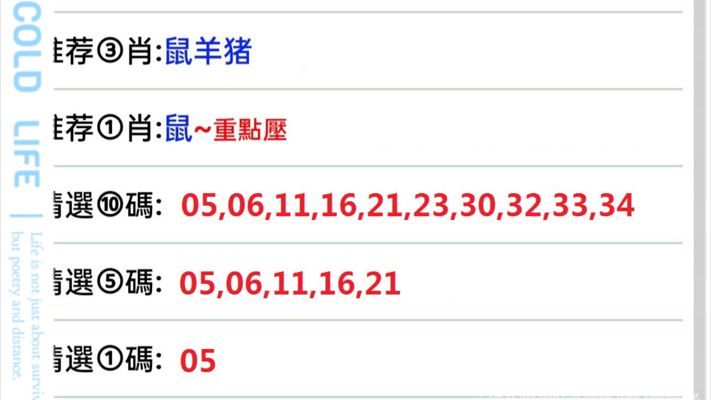 2025年1月4日 第6页