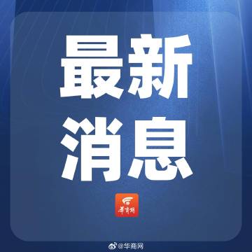 新澳门最新开奖记录查询第28期,新澳门最新开奖记录查询第28期，探索数字世界的神秘与机遇