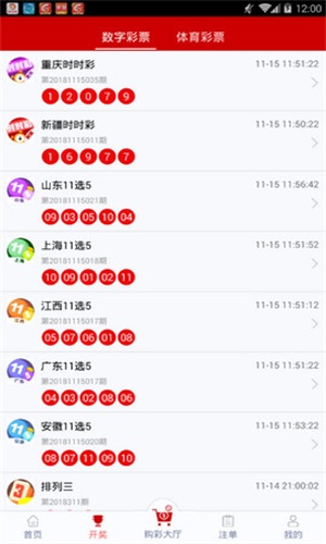 一码一肖100中码,一码一肖的独特魅力与精准预测——揭秘彩票背后的秘密