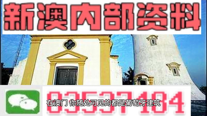 新澳内部资料精准大全,新澳内部资料精准大全——揭示犯罪风险与应对之策