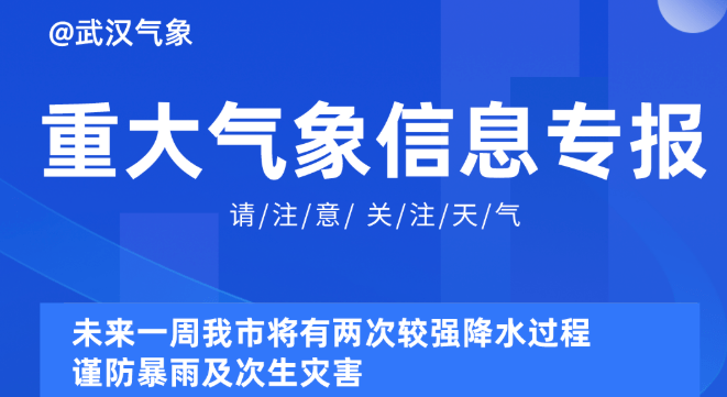 2025澳彩管家婆资料传真,揭秘澳彩管家婆资料传真，掌握未来的彩票趋势与策略（关键词，澳彩管家婆资料传真，彩票策略）