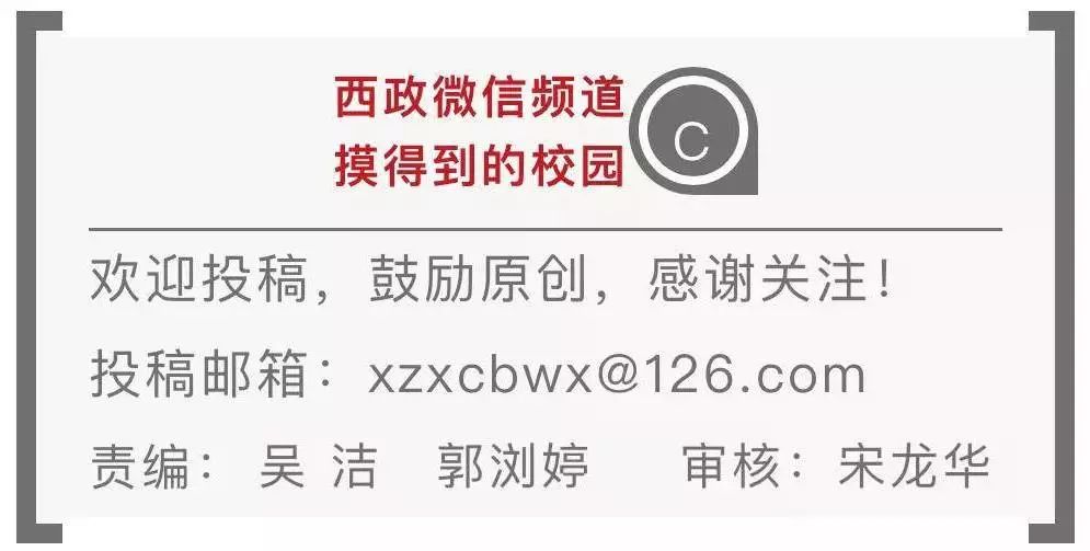 新奥门特免费资料大全今天的图片103期 07-22-29-33-34-38V：41,新澳门特免费资料大全，探索今天的图片103期及彩票预测