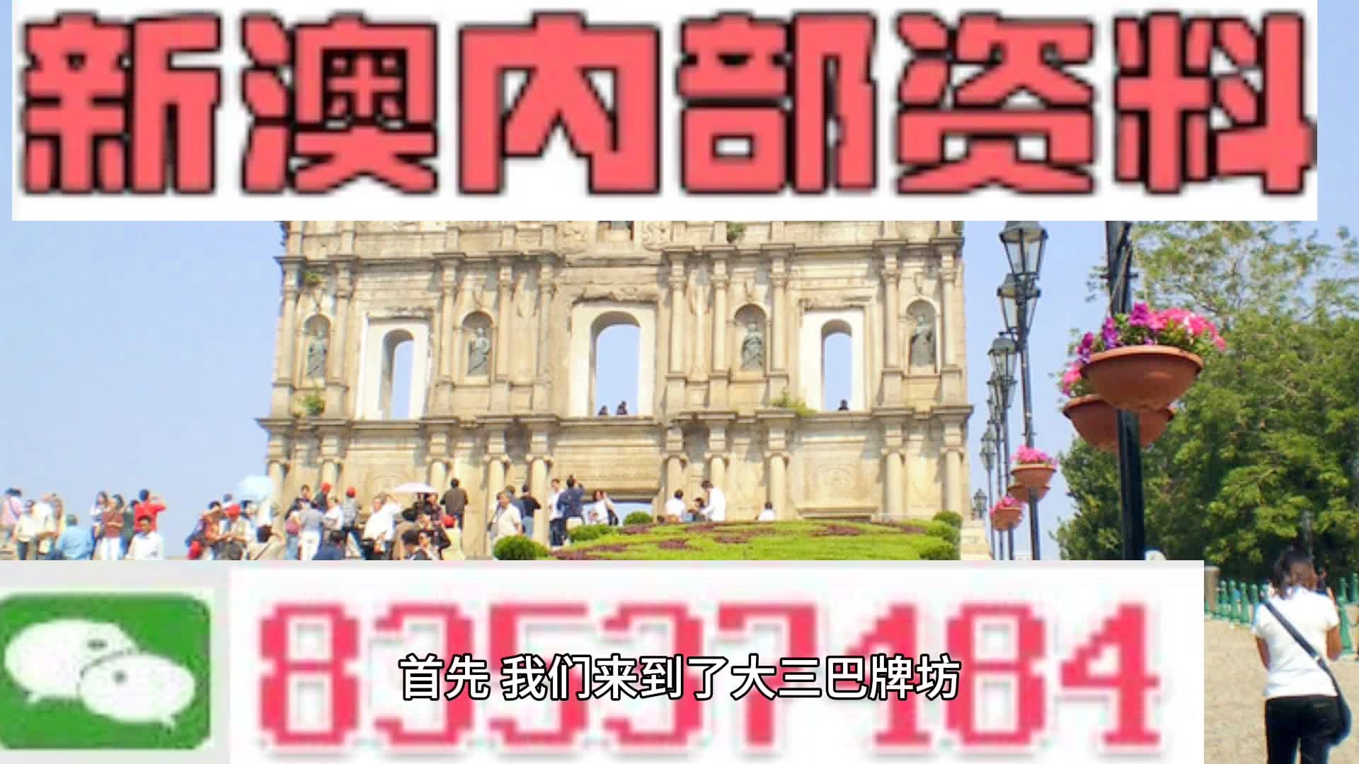 24年新澳免费资料095期 06-19-32-45-46-48T：19,探索新澳免费资料，揭秘第095期中的奥秘与趋势