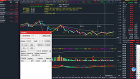 2025澳门特马今晚开奖一055期 02-06-23-31-34-45P：11,澳门特马彩票的历史与魅力——以第055期为例，探索数字背后的故事与期待