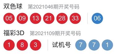 2025新年澳门天天彩免费大全049期 02-04-09-25-28-45R：48,探索澳门天天彩，新年新机遇——从049期看彩票的魅力与挑战